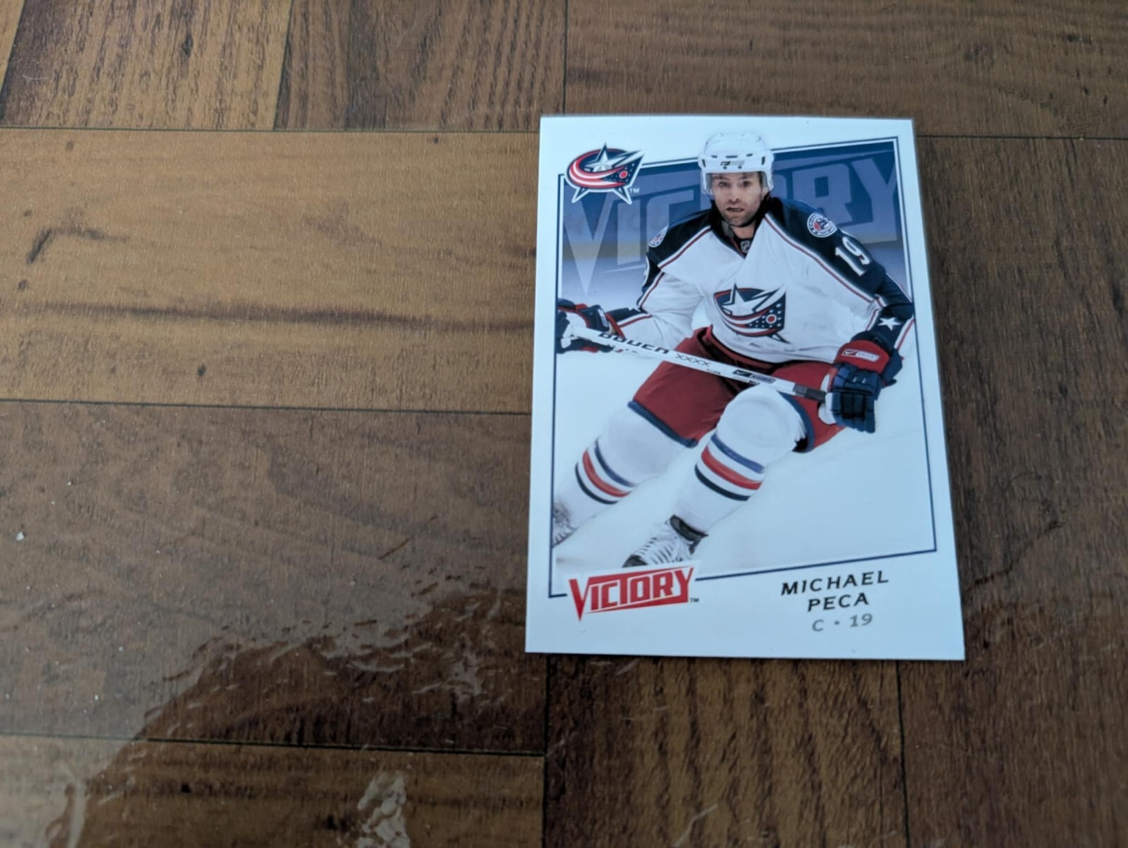 Michael Peca 2008-09 Upper Deck Victory #142 Columbus Blue Jackets