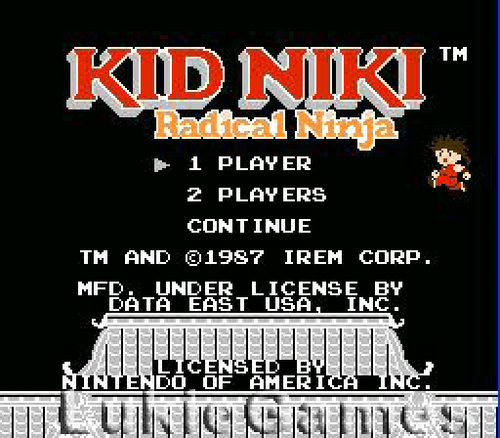 Kid Niki Radical Ninja - NES Nintendo Spiel - Bild 3 von 3