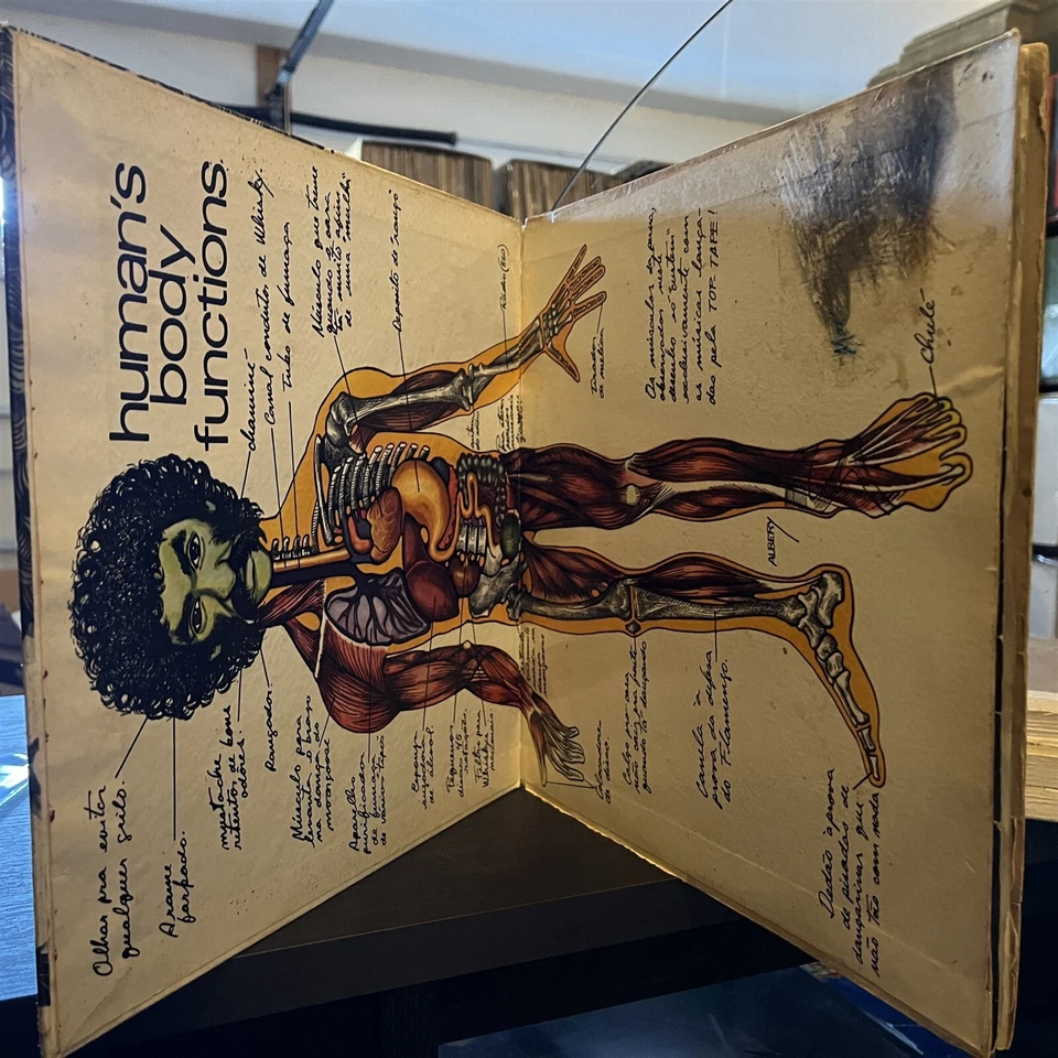 [SOUL/FUNK]~VG LP~VARIOUS ARTISTS~Le Bateau Ao Vivo 1½ Or Ademir's Selections~71 - Image 3 of 4