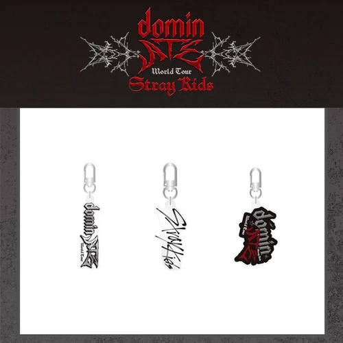 Llavero Kpop Stray Kids domin ATE World Tour Acrílico Colgante Bolso Dije Llavero