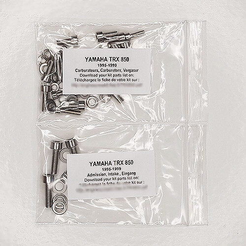 YAMAHA TRX 850 1995-1999 Carburetor stainless allen screw kit #1 TRX850 - Picture 1 of 1