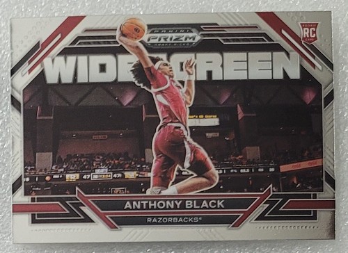 2023-24 Panini PRIZM Draft Picks Inserts + Red Ice Inserts - Picture 58 of 63
