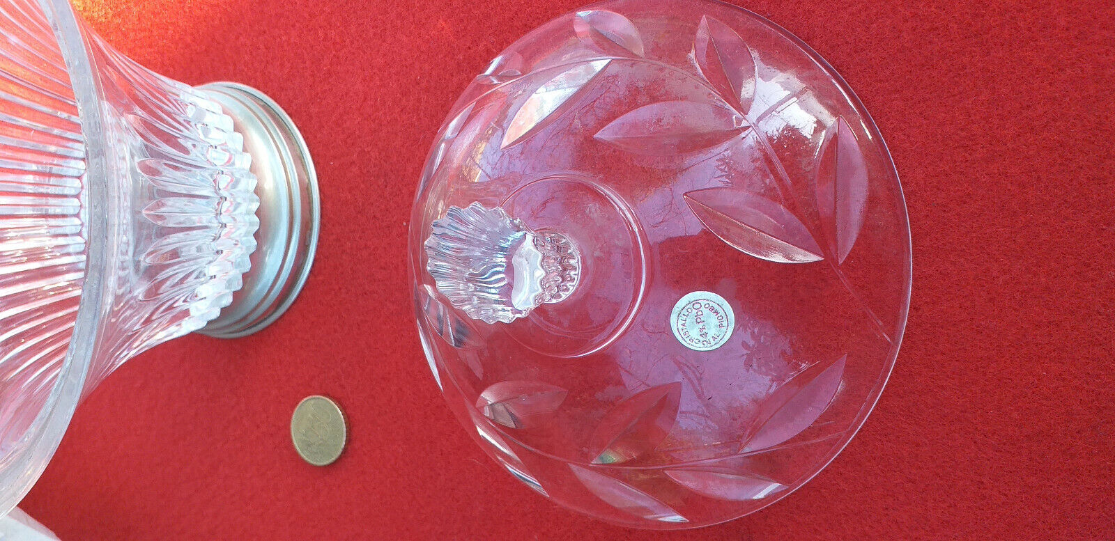 Foto 8 di 8