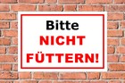 Bild 3 von 5