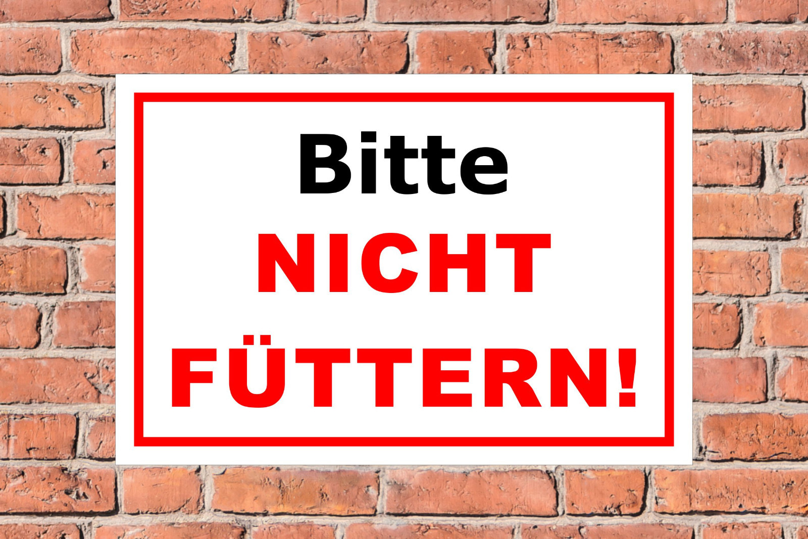 Bild 3 von 5
