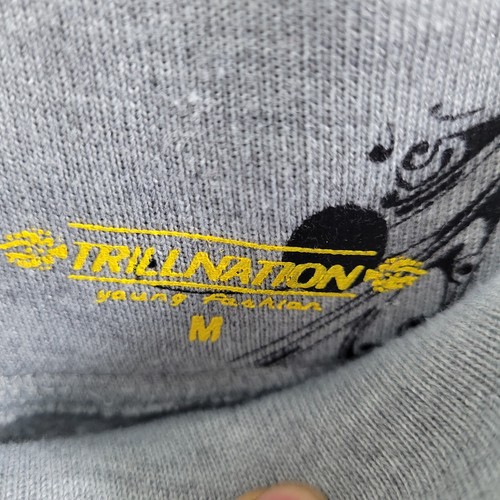 Trillnation Herren grau Grafikdruck schwere Sweat Jogginghose Gr. M 51924-0793 - Bild 4 von 7