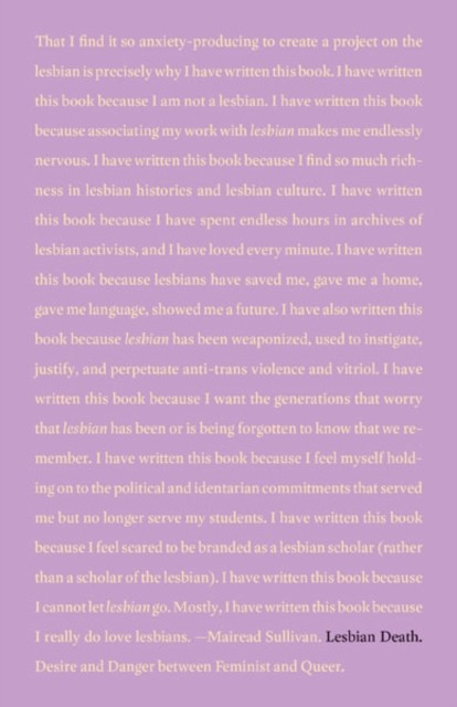Lesbian Death: Desire and Danger between Feminist by Mairead Sullivan PAPERBACK