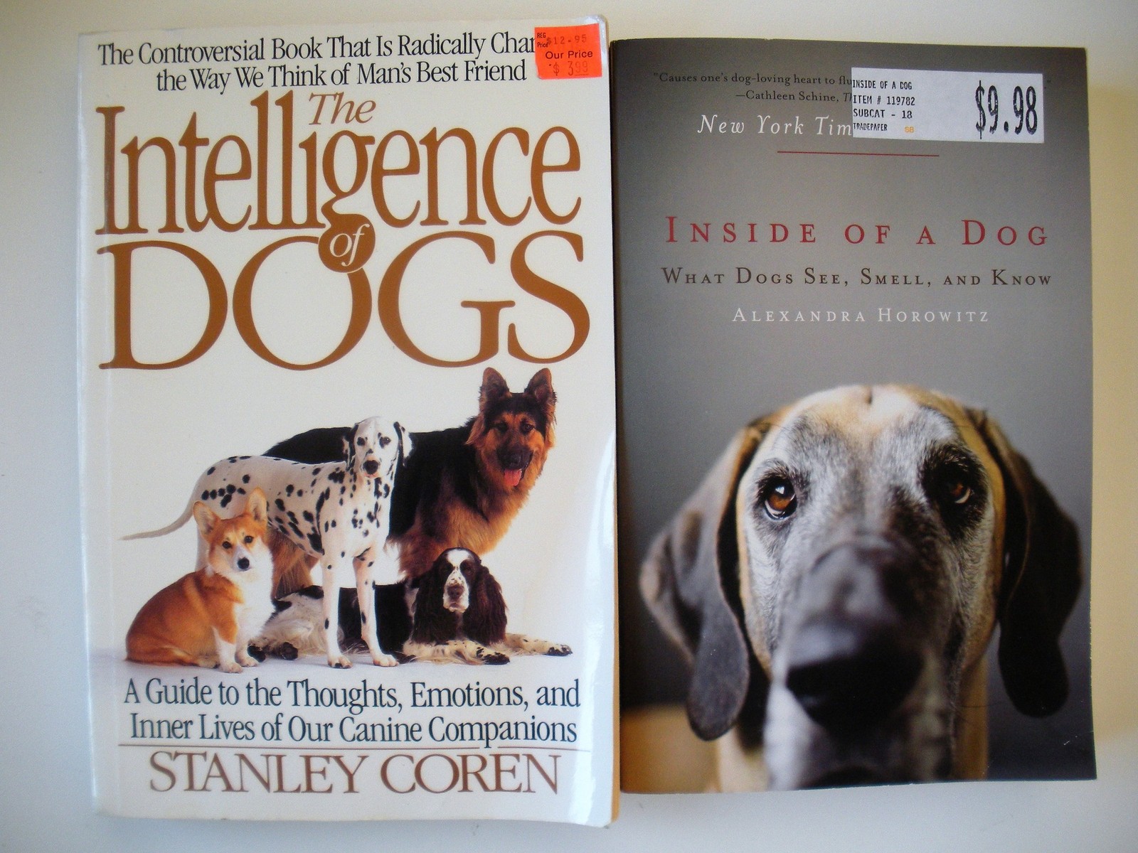 DOG COMPANIONS 9 Book Lot Pet Stories Love Faithful Healing Friendship Novels +