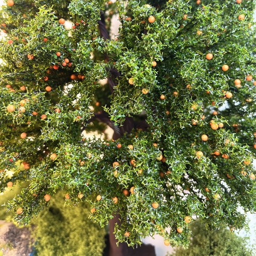 HO/OO Scale Miniatures Fruit Trees Landscape Farm Plants Railway Scenery Model - Picture 4 of 7