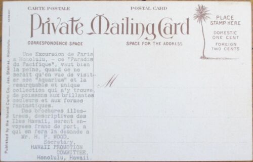 HI Hawaiian Fish 1910 Postal París Francia Anuncio de viaje Isla Ulaula Curiosidad - Imagen 2 de 2