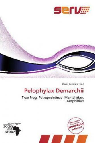 Thumbnail - Pelophylax Demarchii True Frog, Petropedetinae, Mantellidae, Amphibian