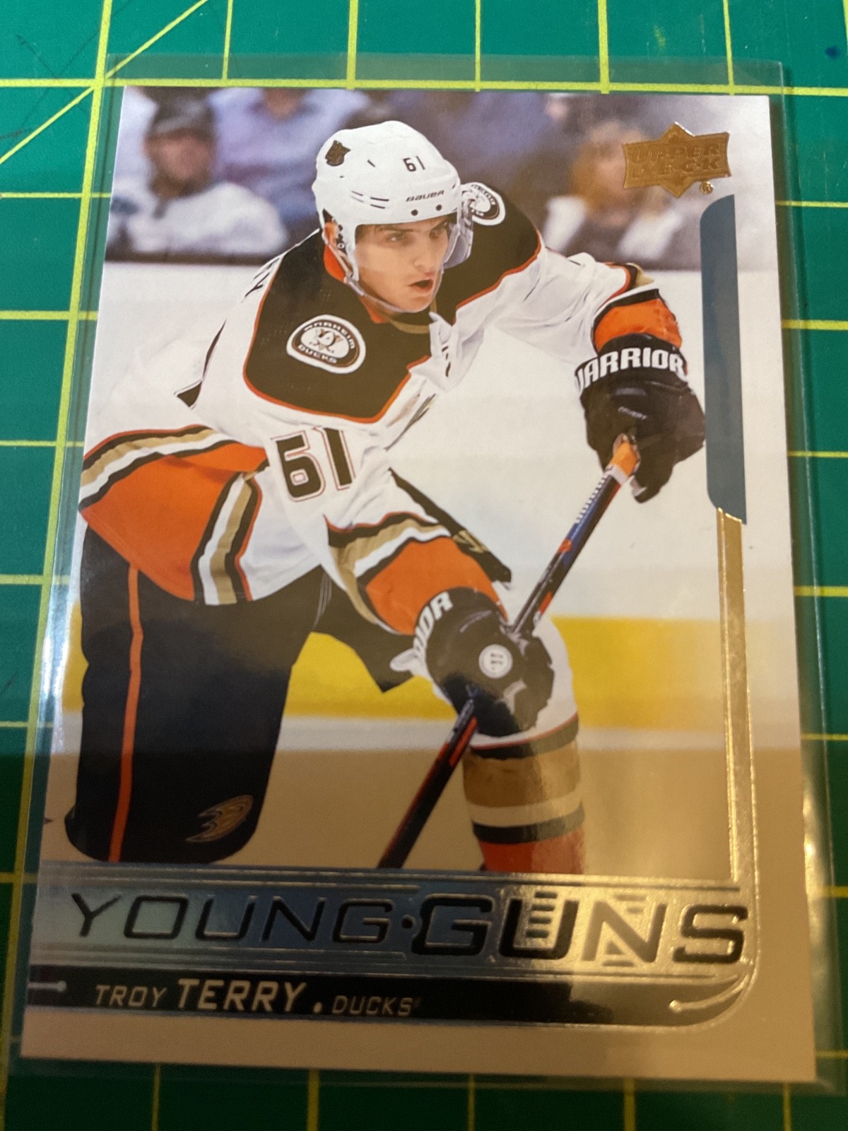 2018-19 Upper Deck Series 1 Young Guns # 239 Troy Terry RC
