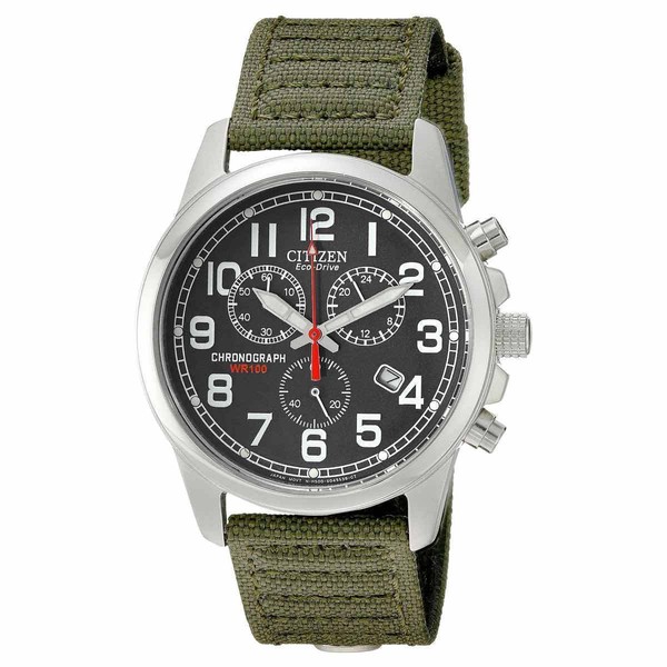 Citizen EcoDrive AT020005E Wrist Watch for Men eBay