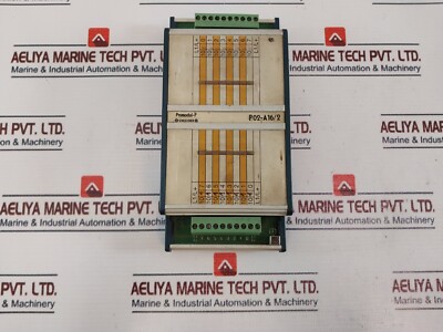 Schleicher P02-A16/2-101 Promodul-p 4A 250VAC