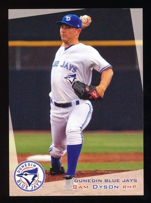 Pick Your Minor League Player Lot - Last Name Starts with D, Free Shipping (D9)
