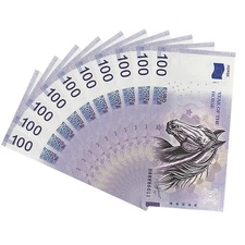 Souvenir 100 Euro 2026 Year of The Horse Fantasy Banknotes 10pcs Collectibles