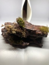 Large Desert Reptile Magnetic Rock Ledges For Terrariums And Cages