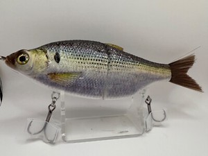 Leurre Hinkle Shad Swimbait Neuf – Appât De Bain/glisse Vierge