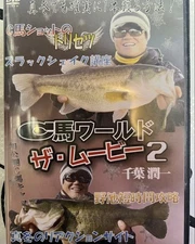 C Horse World The Movie 2 Imakatsu DVD Used No Scratches