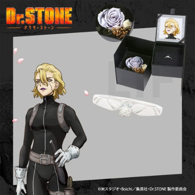 Dr. Stone Stanley Snyder Silberring SV925 Eterno Recit mit Schmucketui Japan Pre