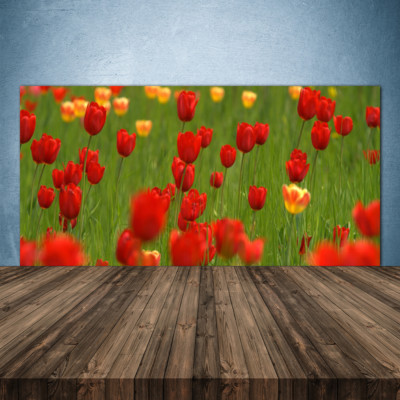 Küchenrückwand aus Glas ESG Spritzschutz 140x70cm Tulpen Natur
