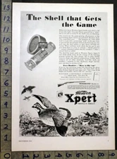 1933 WESTERN XPERT SHOTGUN SHELL CARTRIDGE HUNT SPORT GROUSE PARTRIDGE AD 30777