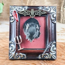 Mouse Head Mount Framed home decor Picture Display collectible specimen gift