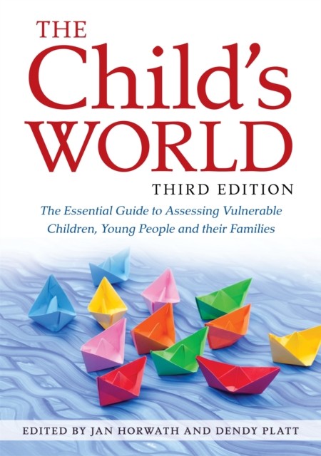 The Child's World, Third Edition: The Essential Guide to Assessing Vulnerable C - Image 4