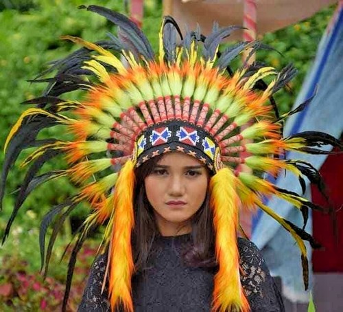 aztec feather headdress , Feather 