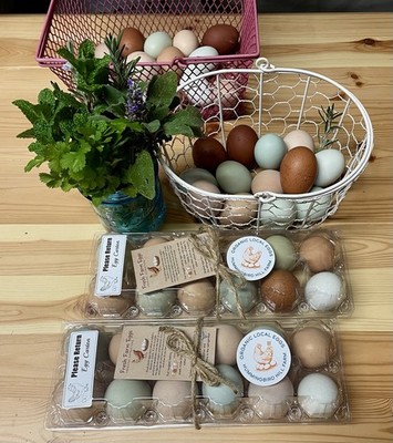 Rainbow hatching Eggs! Marans, Olive Eggers,Back Cross Olives, And Large Cochin