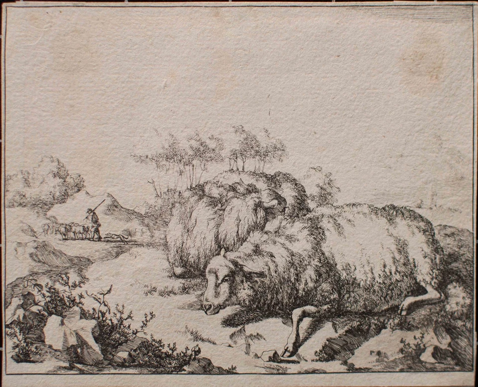 Marcus de Bye Schafe Pastorale Szene niederländisch Tiermalerei Kupferstich 1790 - Bild 3 von 4