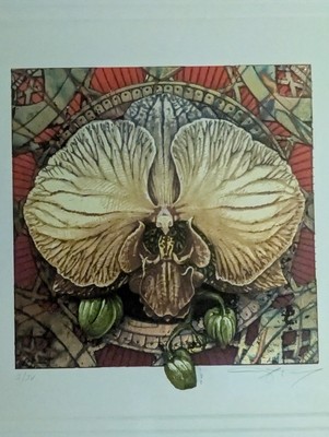 Phalaenopsis Red Variegated Variant - Archival Frame & Glass - First Print of 4 