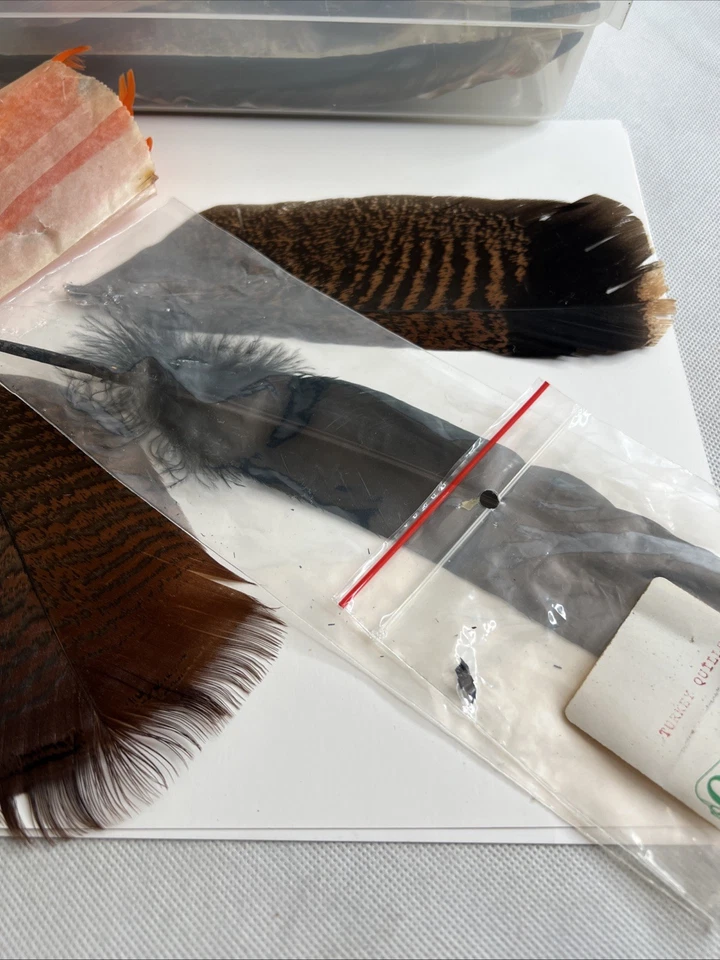 Lote De Colección De 40 Materiales Para Atar Plantilla Mosca XL Ganso Pavo Pluma Pesca Foto 4 de 4