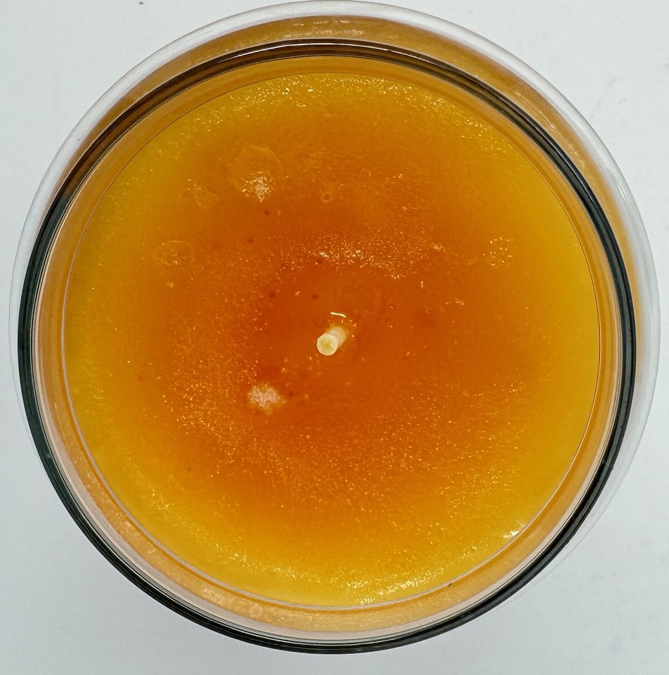 Yankee Candle 2x4 Large Jar Candle, 22oz RETIRED VHTF eBay