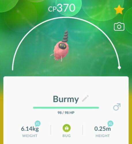 Pokémon Go level 32 Burmy trash male ( trash type,there are 3 types) - Picture 1 of 1