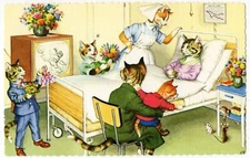 Mainzer - Eugen Hartung Cats Postcard 4931 - Hospital Television -Spain Printing
