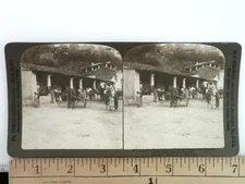 Horse-Drawn Carts Venezuela Stereoview H.C. White Co. 1900s Curved Mount