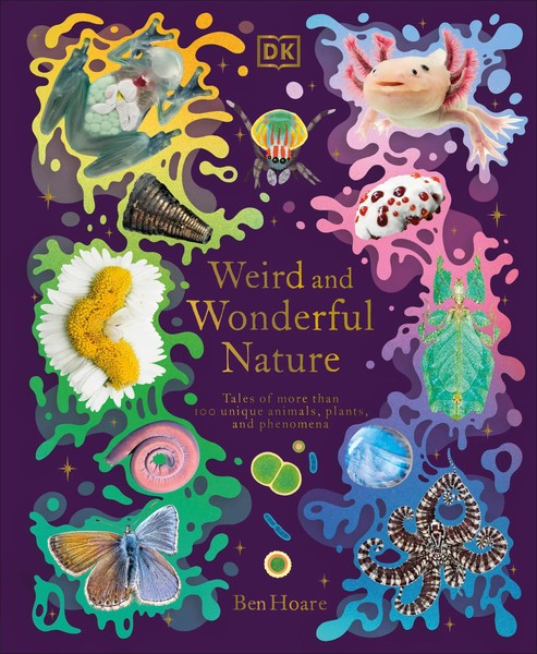 Weird And Wonderful Nature | Ben Hoare | Englisch | Buch | Gebunden | 2023-image