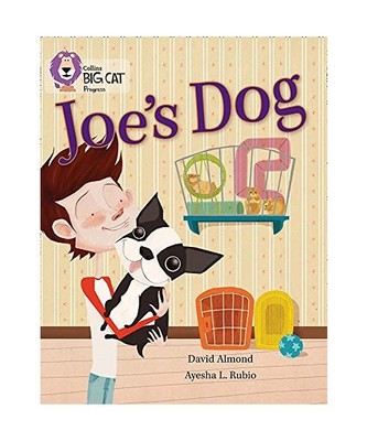 Joe's Dog: Band 09 Gold/Band 12 Copper, David Almond