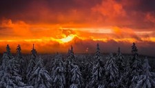 Landscape forest snow nature sunlight sky trees cold Custom Gaming Mat Desk