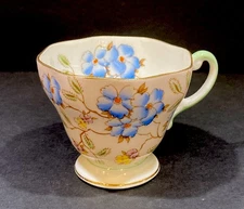 VTG Foley “Springdale “ Bone China Tea Cup(1930-1950) Floral England