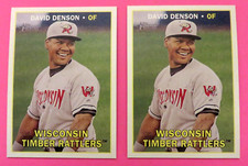 2 - 2016 Topps Heritage Minors, Wisconsin Timber Rattlers - DAVID DENSON