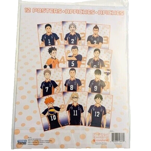 Haikyu Anime Basketball Wall 12 Small Posters Set New Manga Wall Art Decor,New - Изображение 2 из 2
