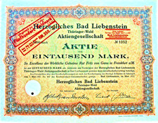 Herzogliches Bad Liebenstein AG histor. Gründer Aktie 1917 Thüringen Kur Klinik 