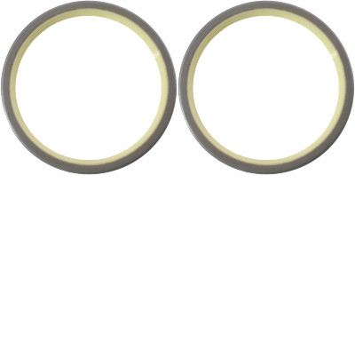 Lip Seal Pack of 2 1661496 fits Caterpillar 326D L 325D L 325D FM 325C L