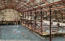 Postcard C-1910 California San Francisco Interior Sutro Baths S.F.401 CA24-3813