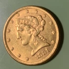 New Listing1881 $5 Liberty Head Half Eagle Gold Coin - From Family Collection Uncirculated