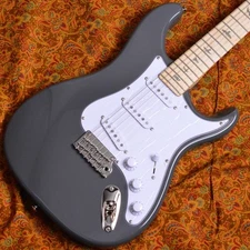 Paul Reed SmithPRS SE Silver Sky Overland Gray New Electric Guitar