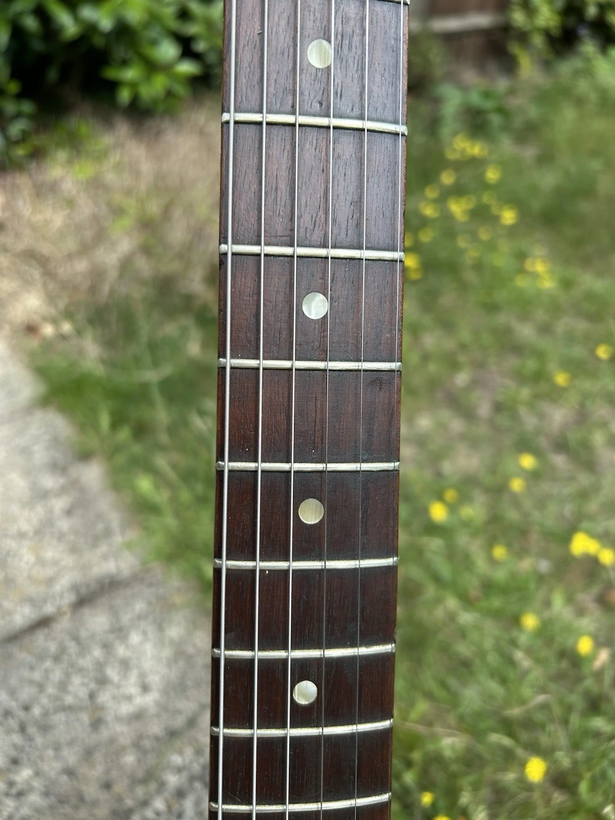 Picture 6 of 22