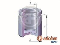 Autofren Seinsa D02520 Kolben, Bremssattel For Audi BMW Daewoo Fiat Ford Porsche